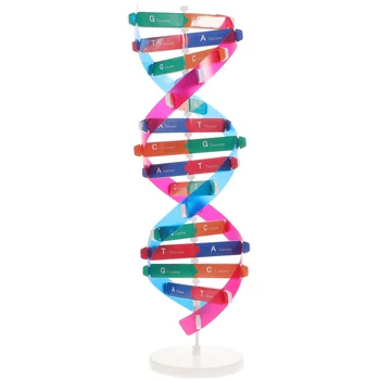 Savęs Surinkimas DNR Stendas Dvigubos Spiralės Modelio Žmogaus Genų Mokymosi Žaislas Biologinių Mokymo Pagalba